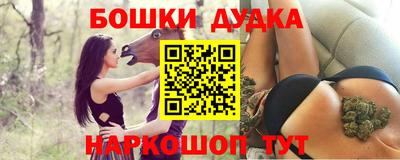 прущие грибы Будённовск