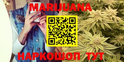прущие грибы Будённовск
